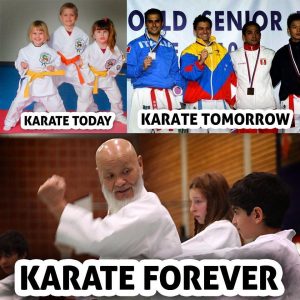 Adult Karate per month