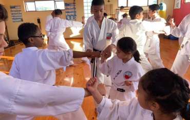 '.esc_attr__('price-image', 'samurai-school').'